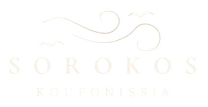 Sorokos logo transparent 1